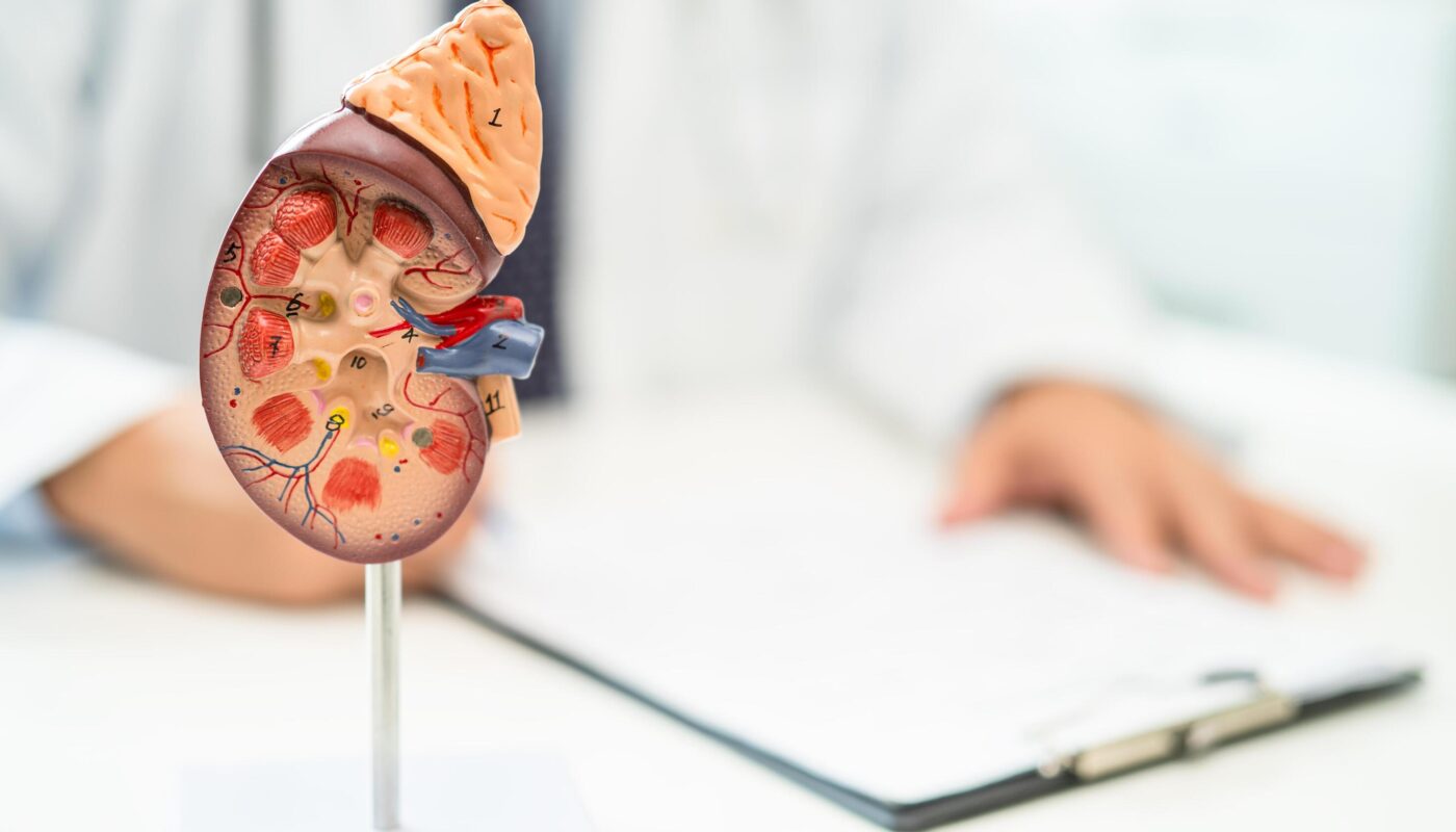 Urological-Cancers-scaled.jpg