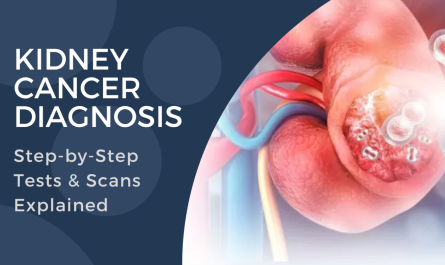 Kidney Cancer Diagnosis: Step-by-Step Tests & Scans Explained
